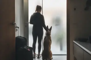 Arrival of a Belgian Malinois and young woman in a soft-lit hallway, seen through frosted glass, projecting a sense of quiet transition and new beginnings.