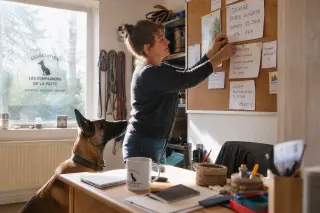 Belgian association volunteer preparing event materials in office with calm Malinois watching, natural light filtering in, relaxed and authentic atmosphere.