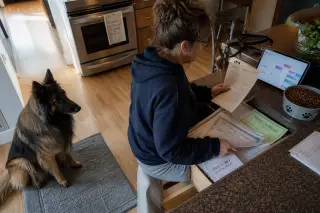 Woman quietly organizing dog vet and insurance papers in a cozy kitchen, Belgian Shepherd nearby, soft natural light highlighting daily planning atmosphere.