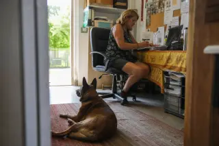 Volunteer working in a rescue office with a relaxed Belgian Malinois resting near her, sunlight filling the room through a window, viewed from the doorway for a candid, daily-life feel.