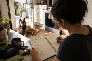 Belgian Shepherd resting in a kitchen, calmly watching a foster volunteer writing notes at a counter, with natural afternoon light creating a serene atmosphere.