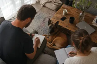 Belgian Malinois peacefully lying by two adults taking notes in a softly lit, relaxed living room